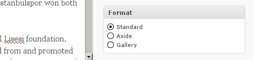 Post format options widget on the post editor screen in WordPress 3.1
